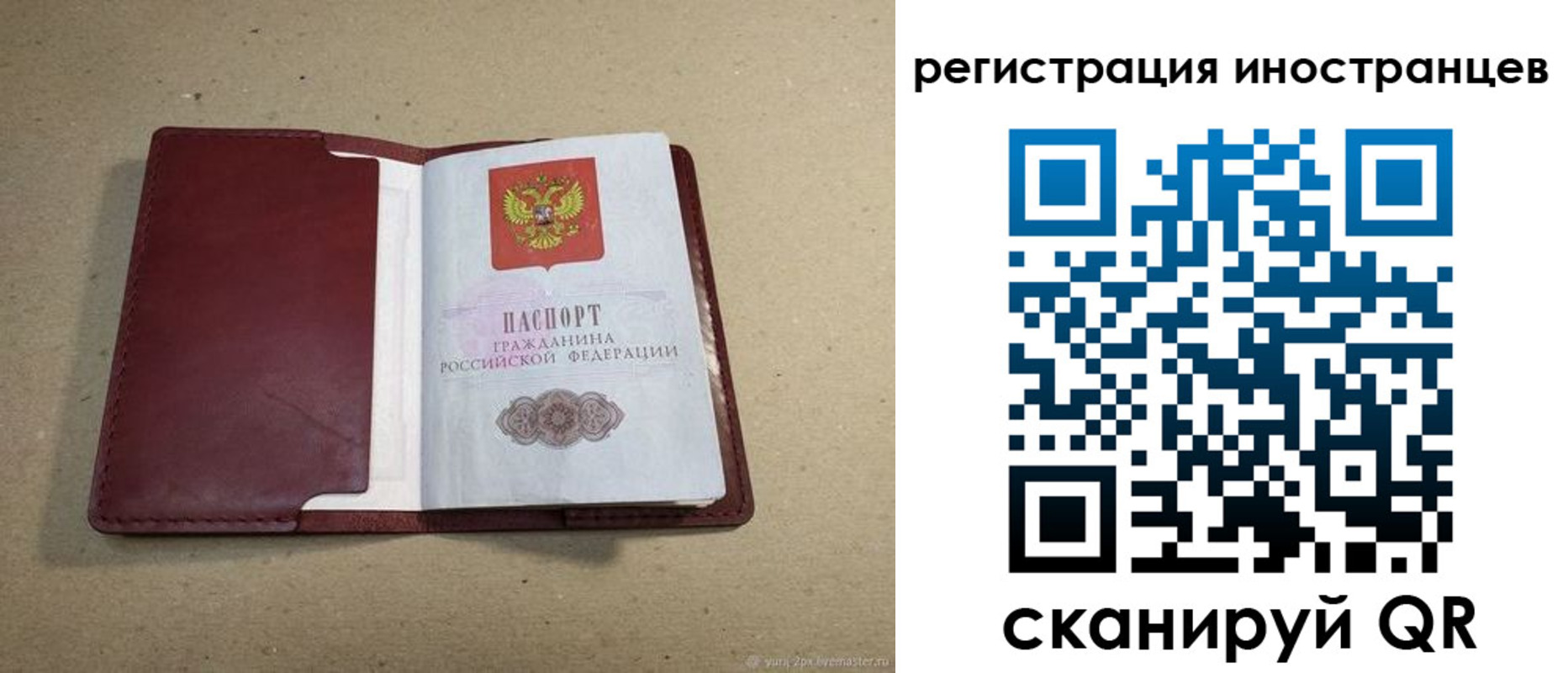 регистрация для школы в Курганской области